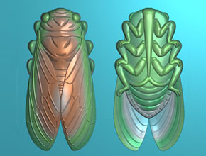 自学玉石雕刻金蝉玉雕图案_玉石自动加工设备厂