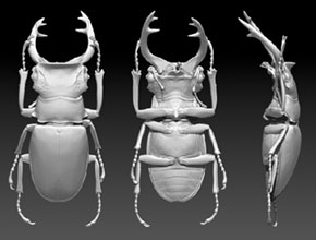 甲虫精雕模型图纸下载_享刻玉器电脑雕刻机厂家