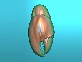 蟹钳挂件吊坠玉石电脑精雕图纸_玉石雕刻机厂家